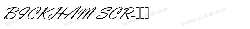 BICKHAM SCR字体转换 BICKHAM SCR字体转换
